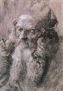 Albrecht Durer Study of a Man Aged oil painting